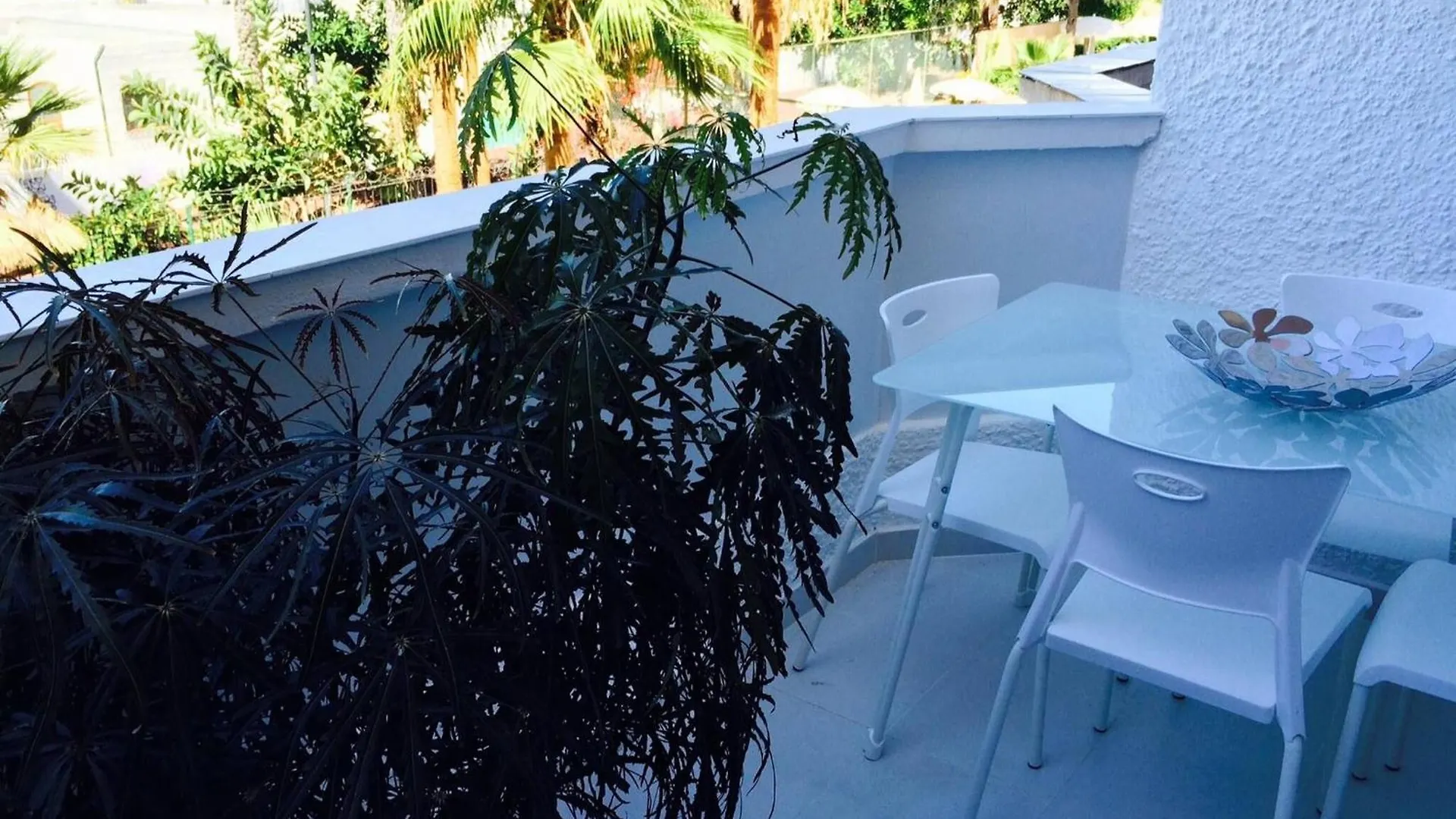 Beach Close Las Americas New Gem Apt Wi Fi Free Playa Honda Arona  Holiday home